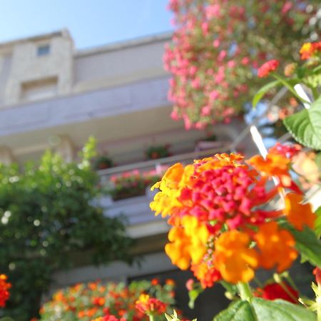 Pejic Apartments Pula Exterior foto